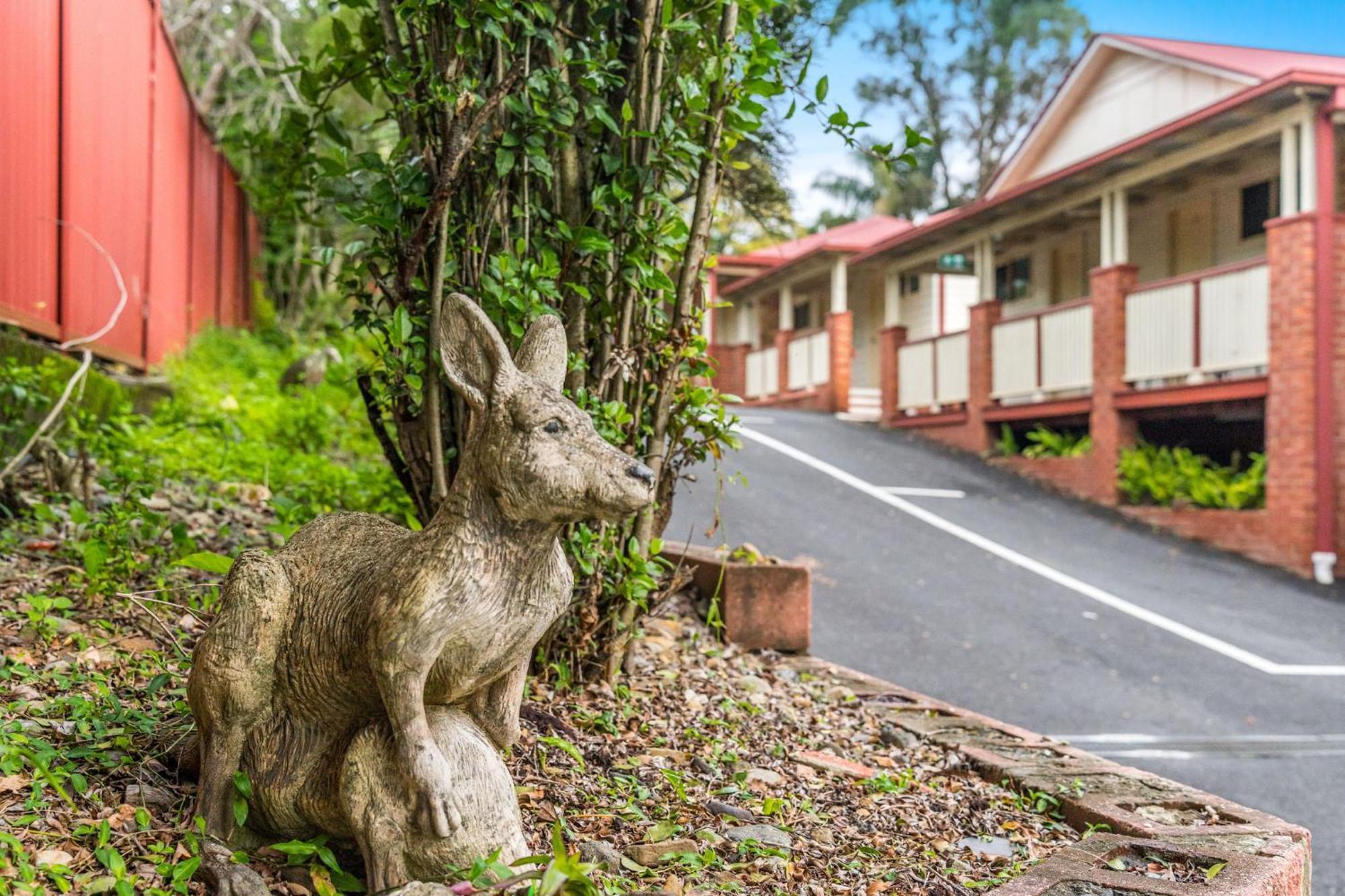 Lismore Wilson Motel Ngoại thất bức ảnh